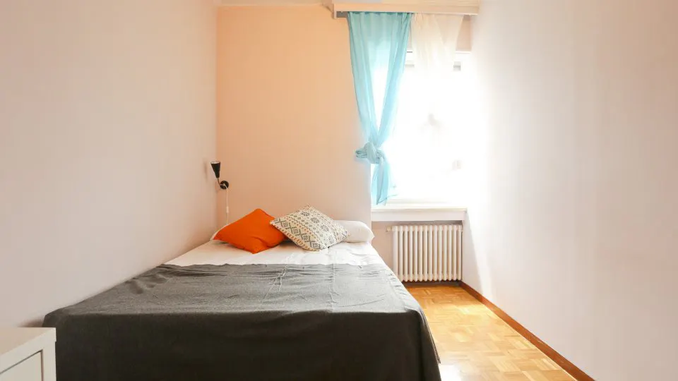 Private room in Paseo de la Castellana, Madrid (1682595) ROOM