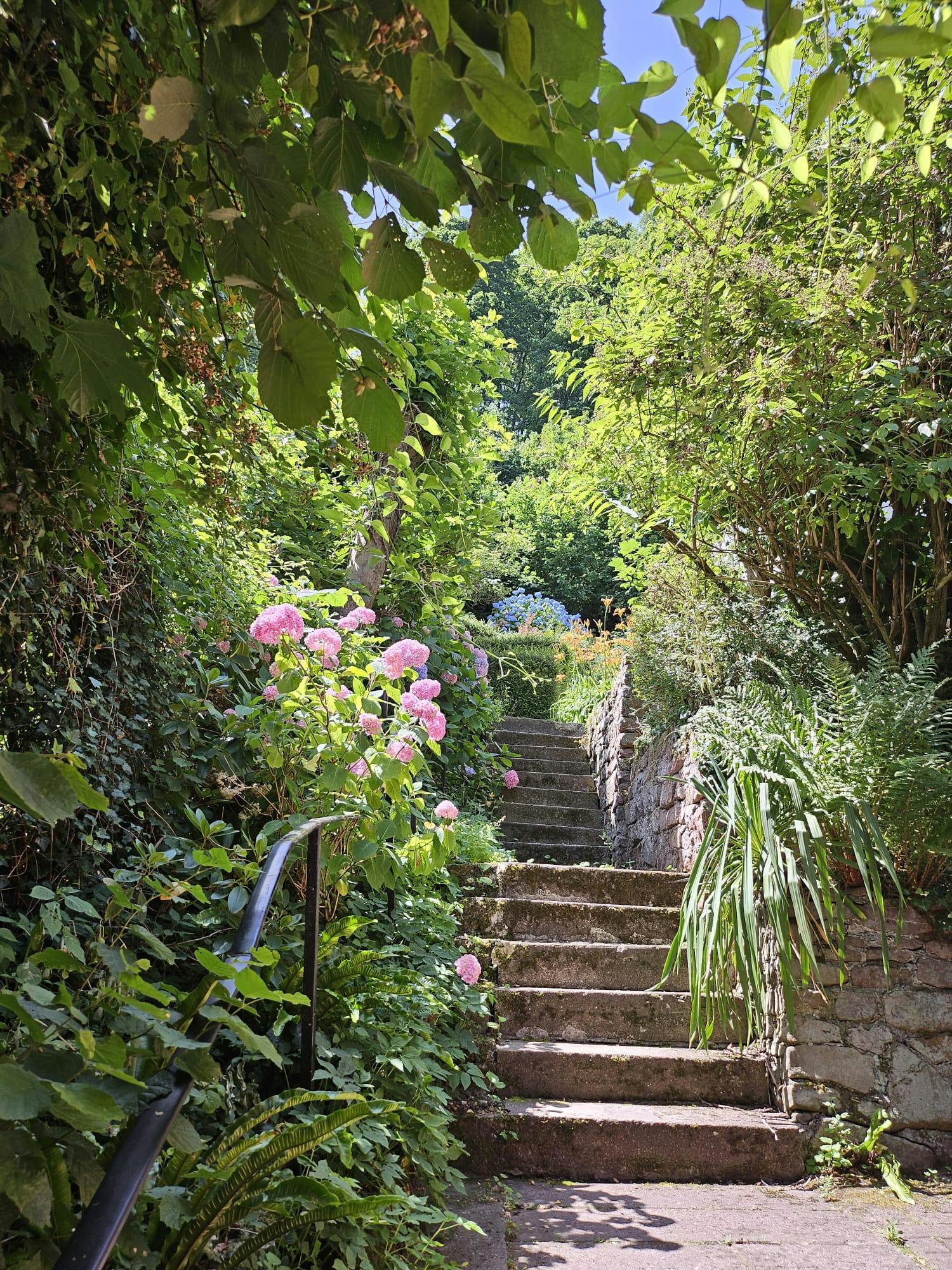 Apartament de închiriat pentru 1.500 EUR pe lună în Heidelberg, Klingenteichstraße