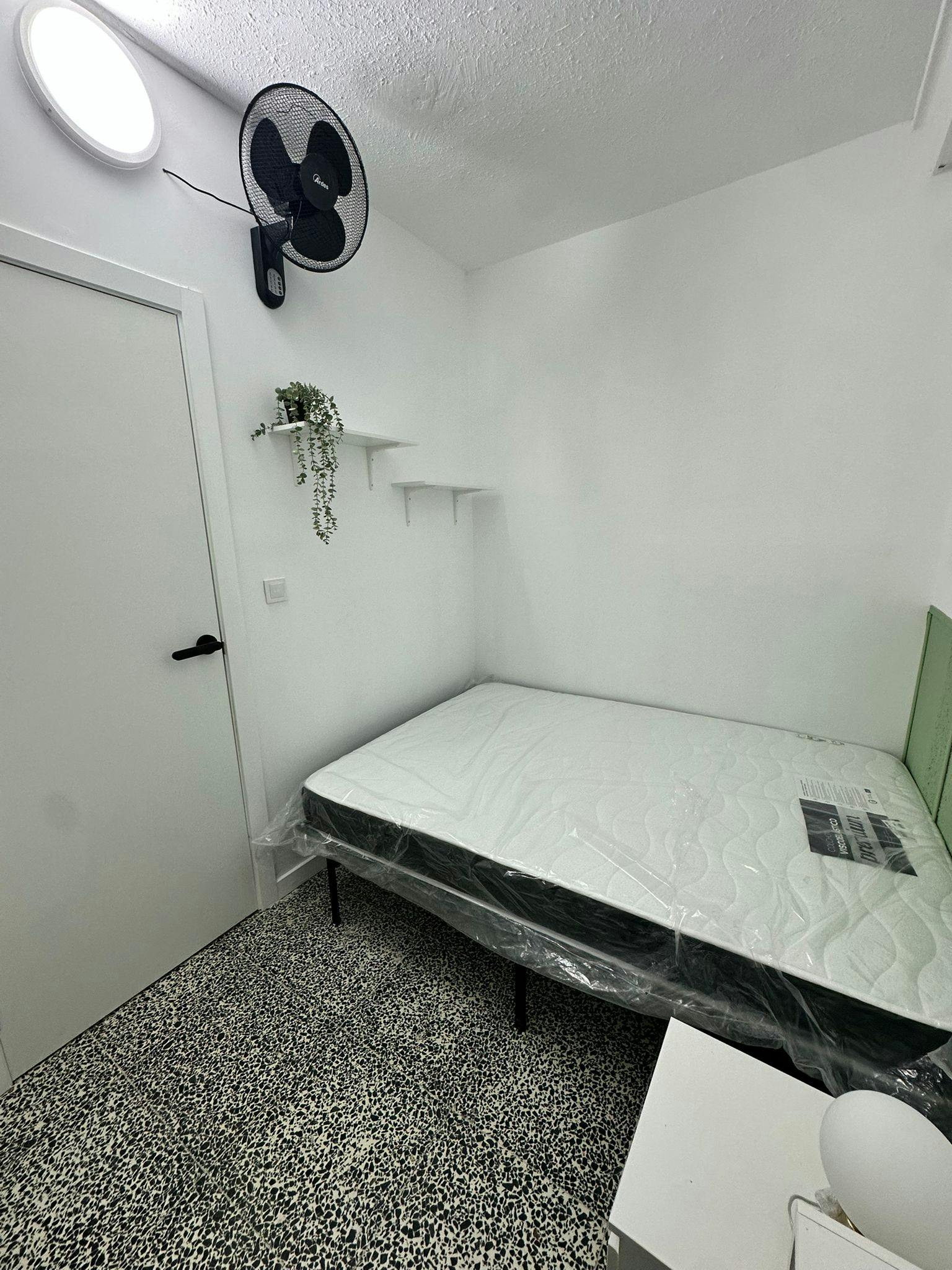 Single room Alicante (Alacant), 1 bed, 5m² — photo 4