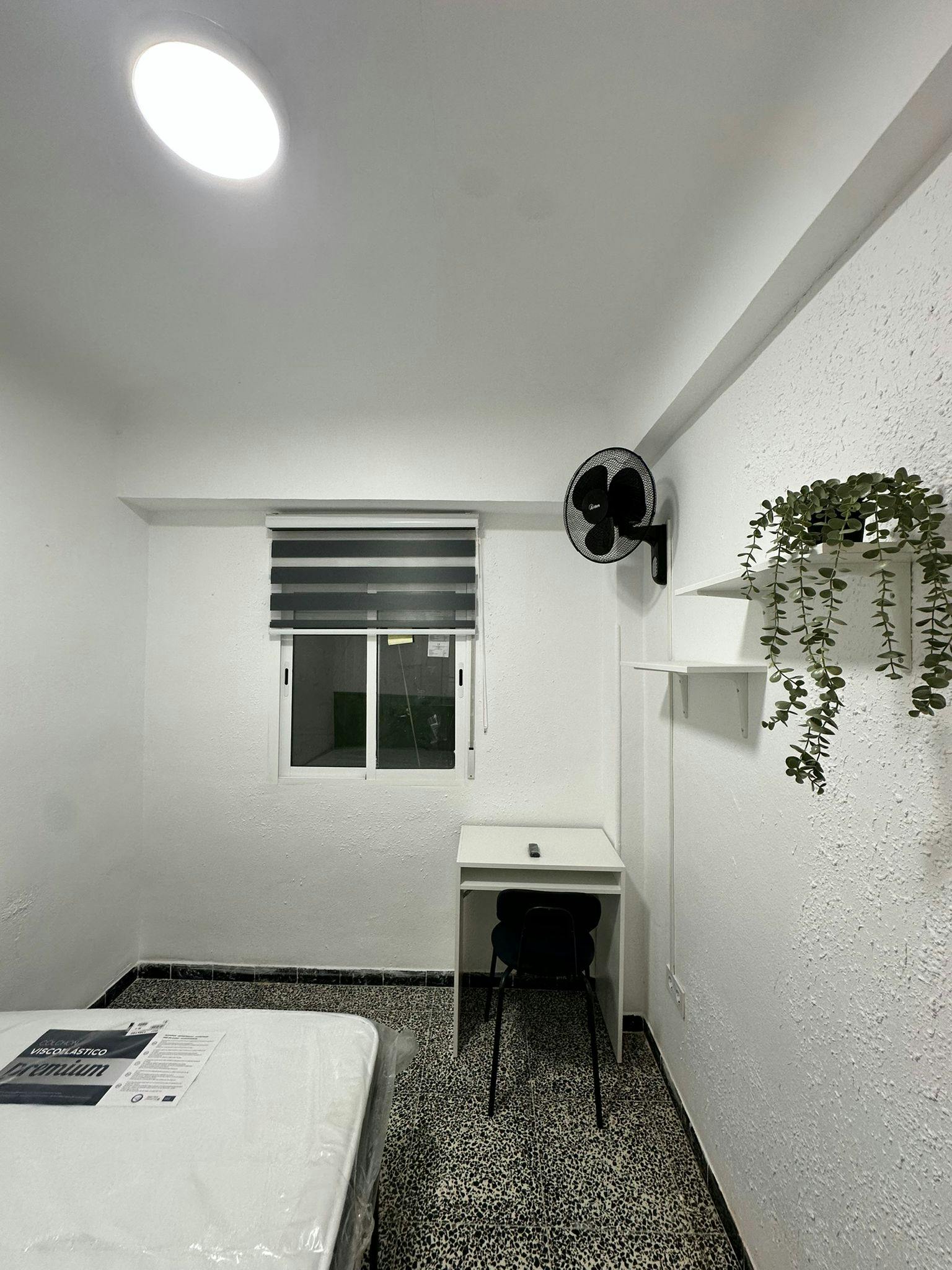 Single room Alicante (Alacant), 1 bed, 10m² — photo 3