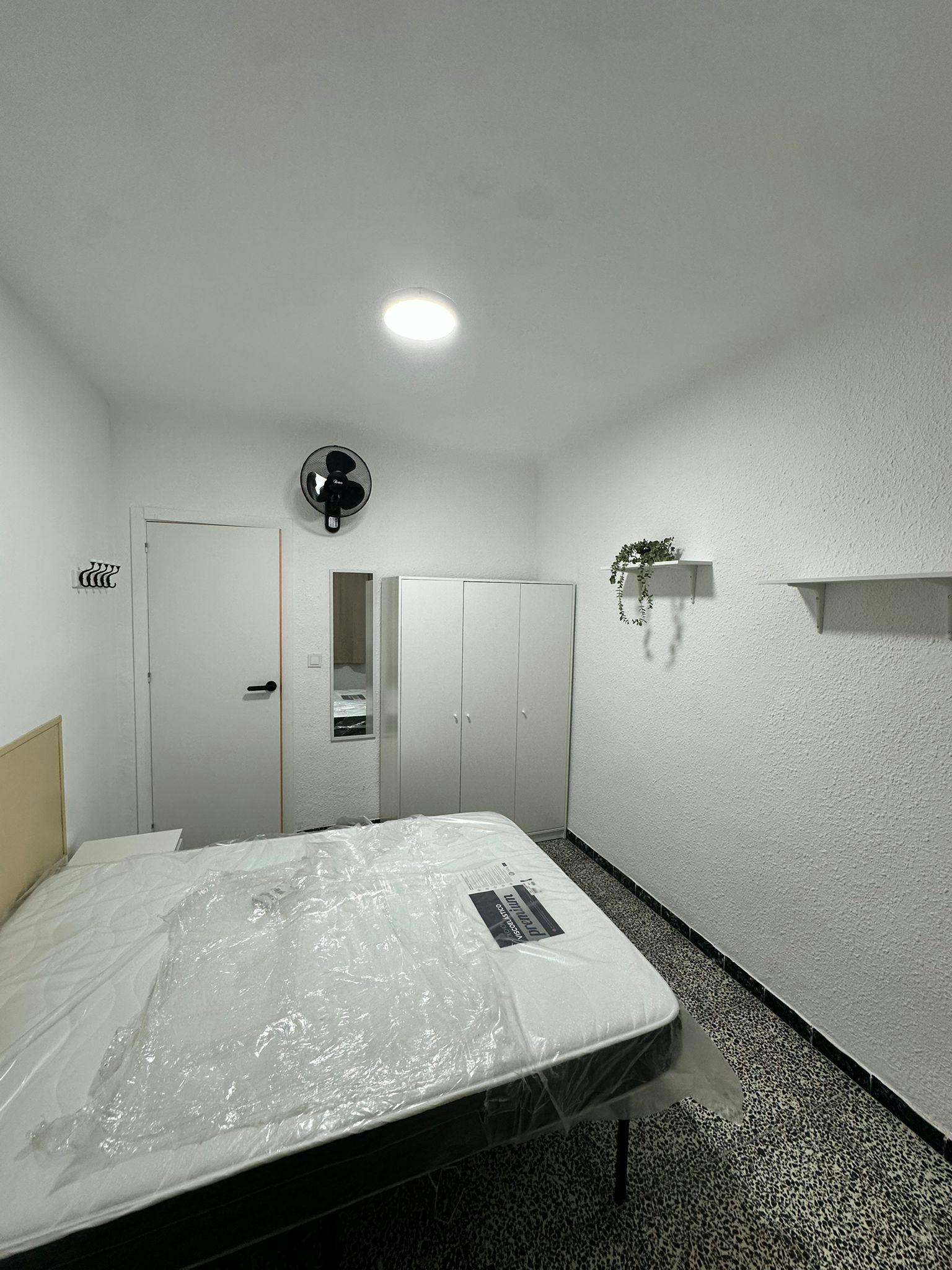 Single room Alicante (Alacant), 1 bed, 11m² — photo 3