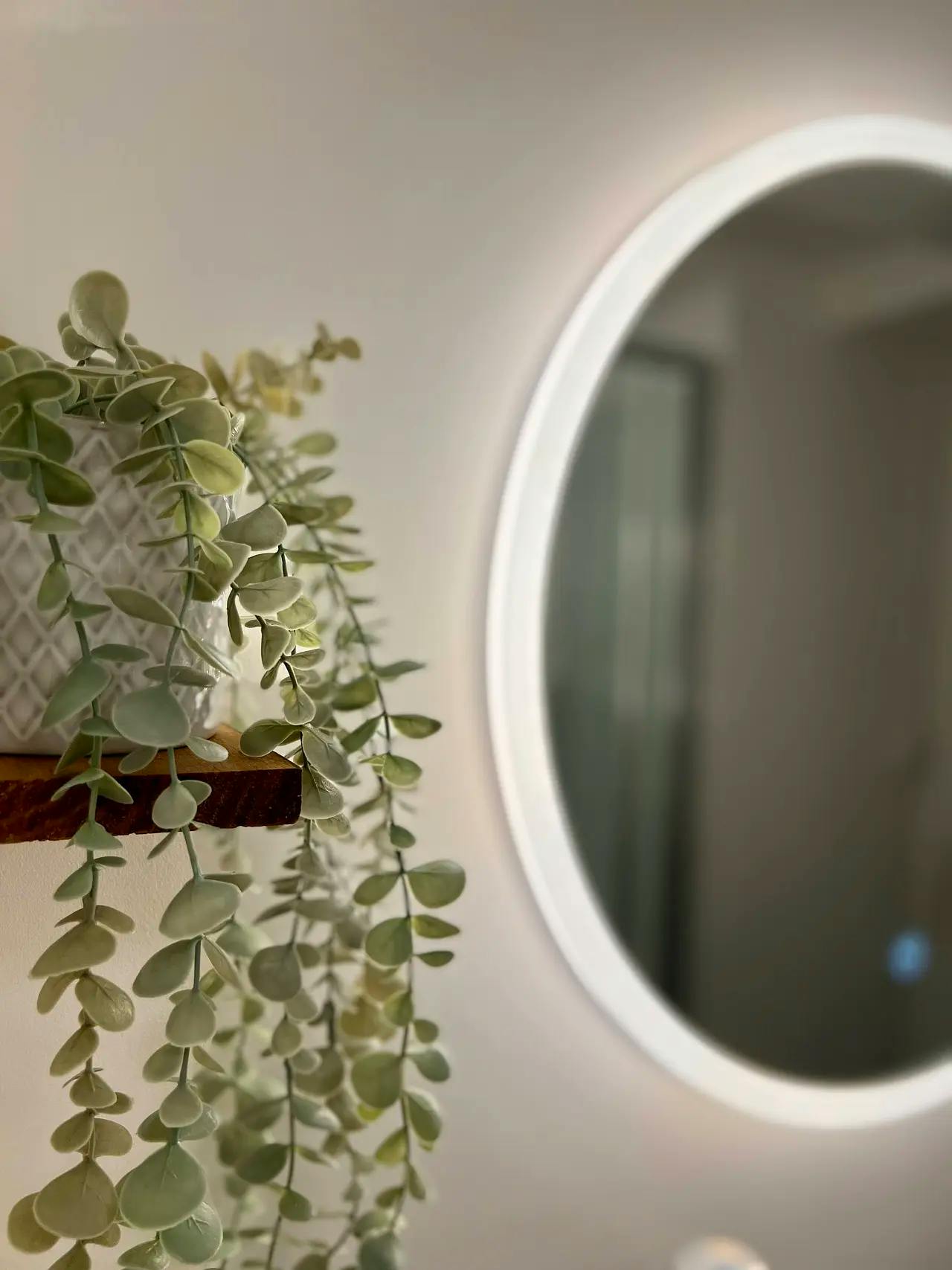 Single room Toulouse, 1 bed — photo 19