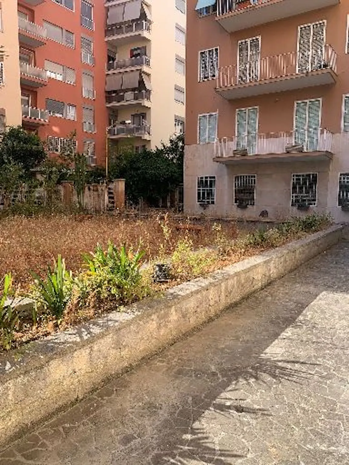 Via Bassano del Grappa, Rome preview