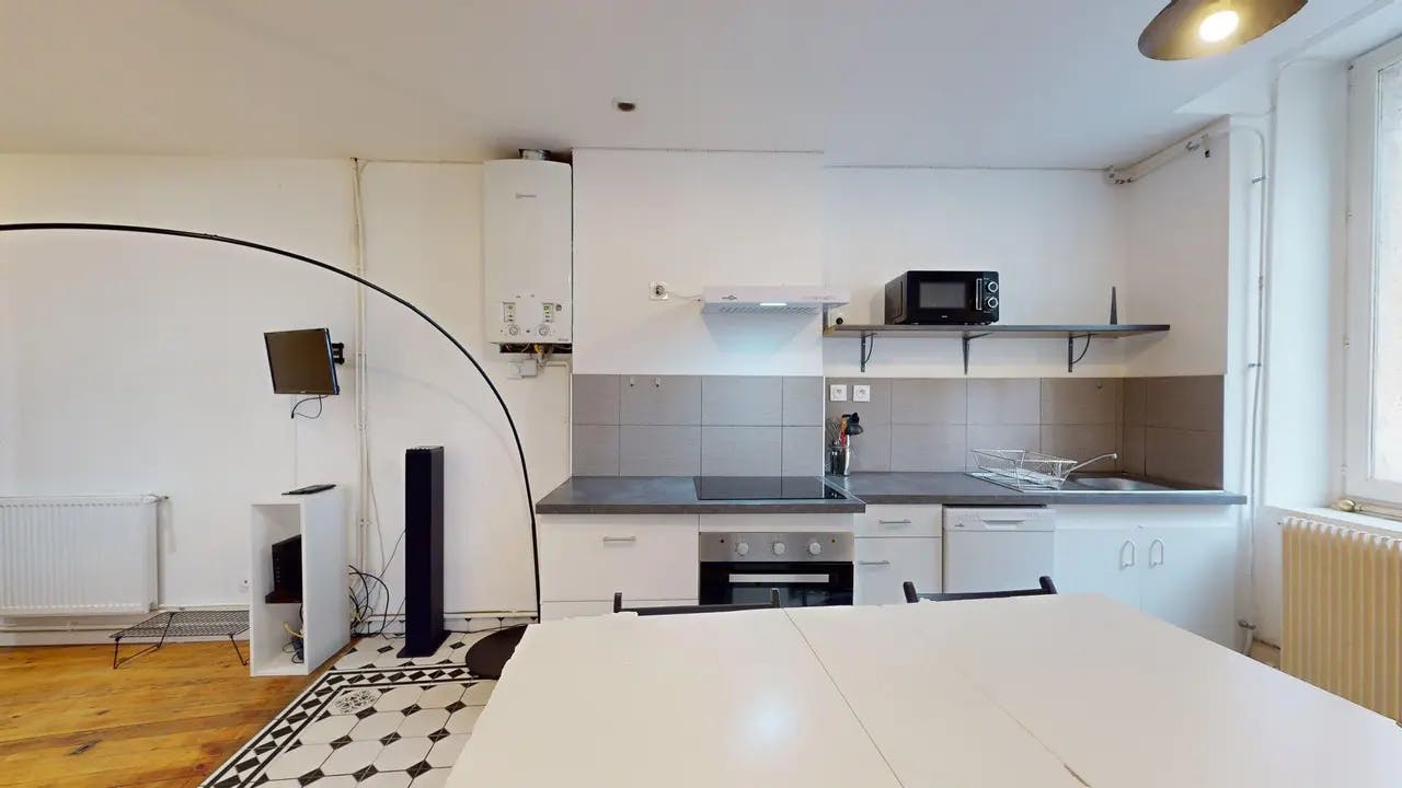 2-Bedroom Apartment in Rue Mi-Carême, Saint-Étienne (1686536) ROOM 4