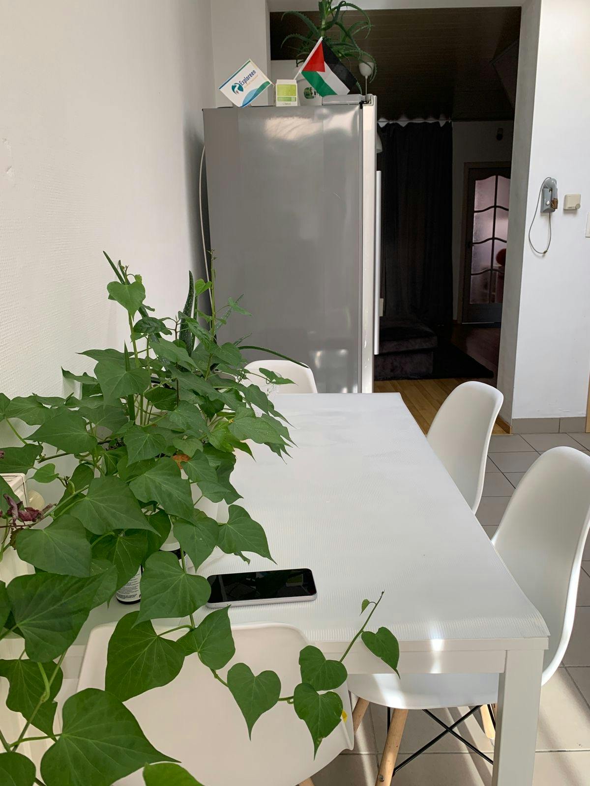 Stanza privata in affitto a 690 € al mese a Antwerpen, Kielpark