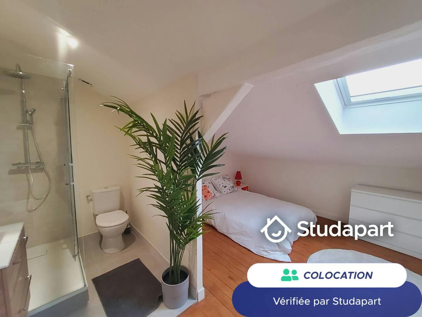 Private room for rent on Rue Peyronnet, Bordeaux - Vue 3