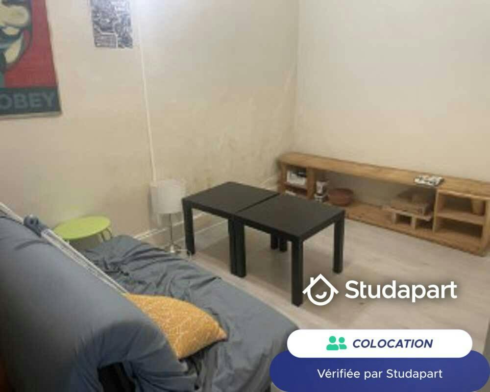Private room for rent on Rue Saint-Jean, Lyon - Vue 3