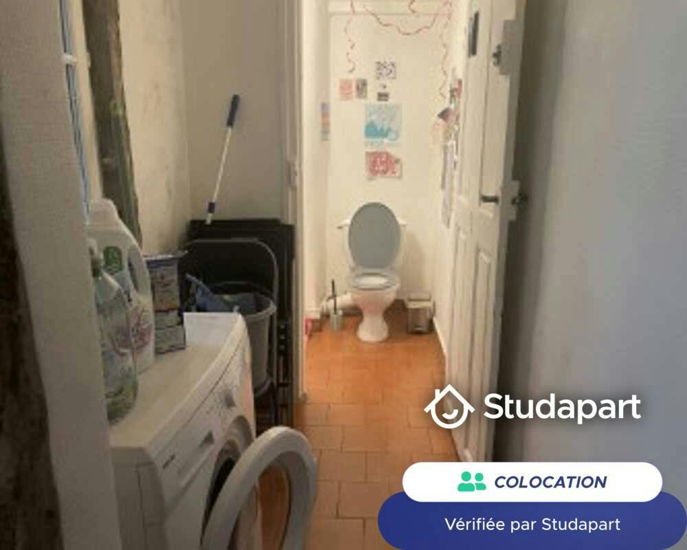 Private room for rent on Rue Saint-Jean, Lyon - Plus