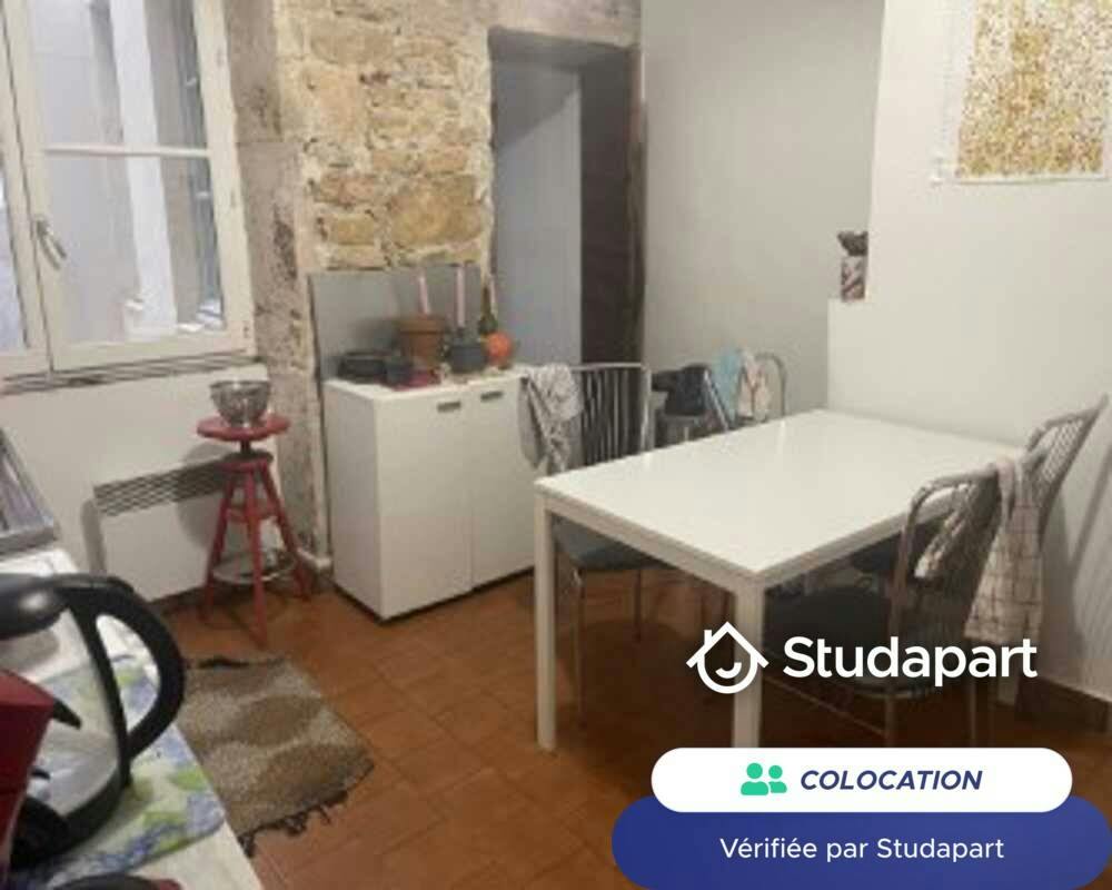 Private room for rent on Rue Saint-Jean, Lyon - Vue 4