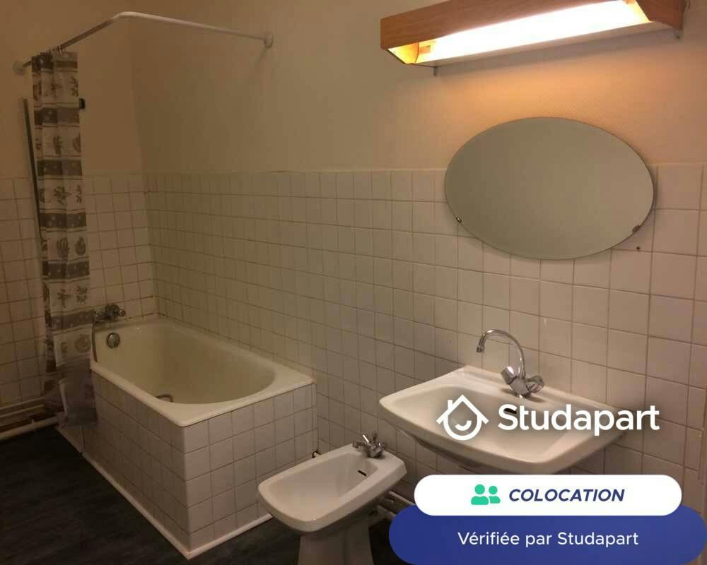 Private room for rent on Rue Saint-Jean, Lyon - Vue 5