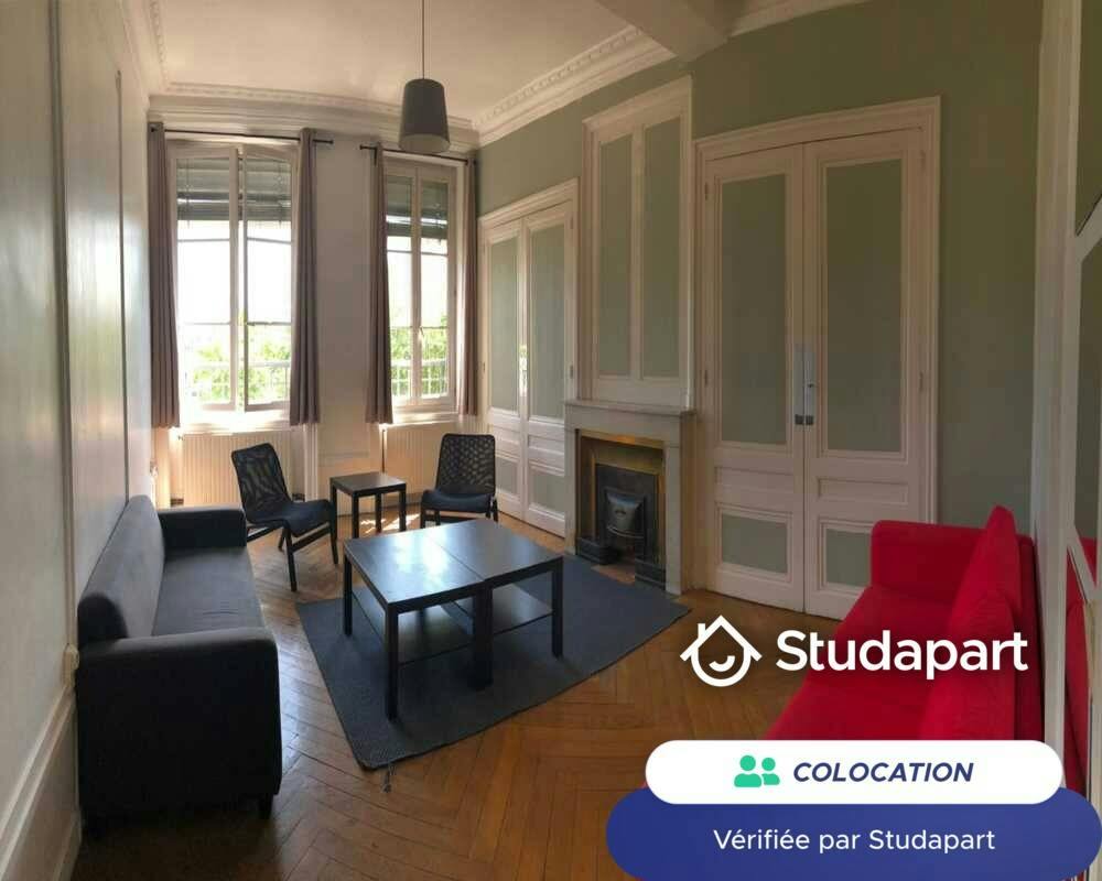 Private room for rent on Quai Romain Rolland, Lyon - Vue 4