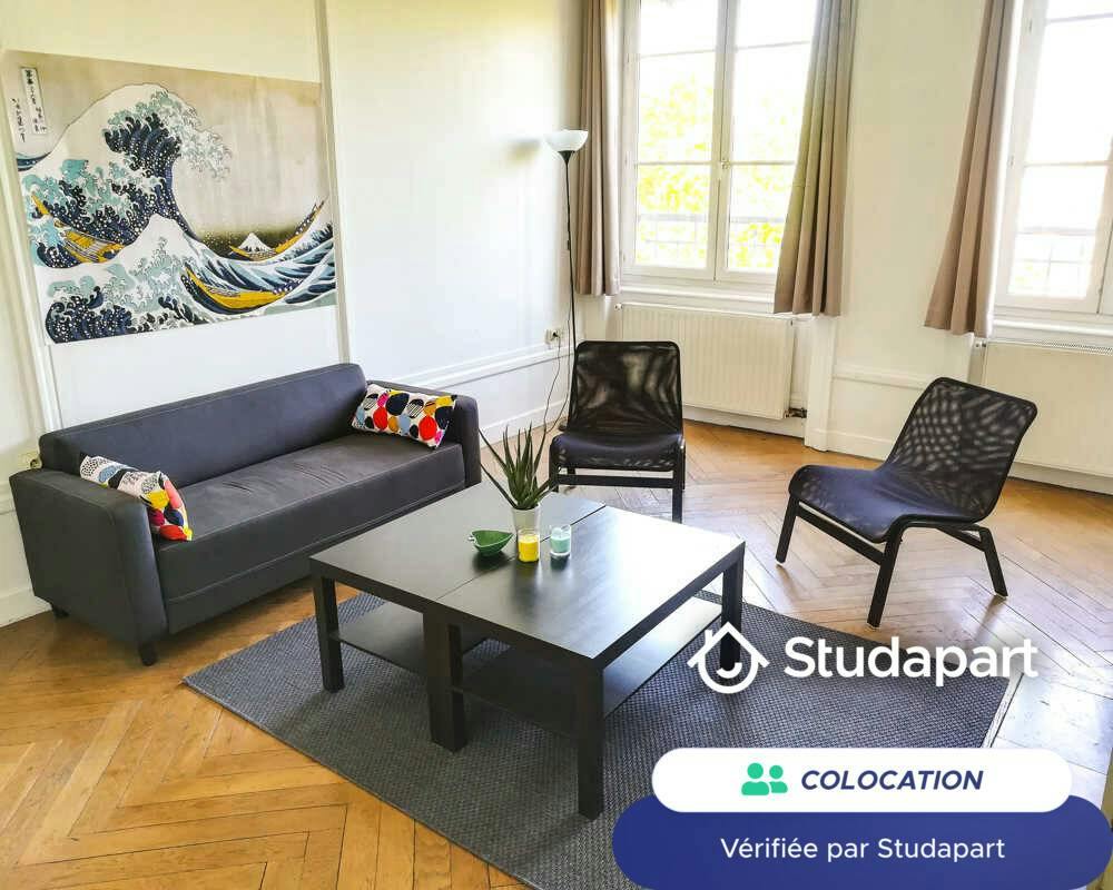 Private room for rent on Quai Romain Rolland, Lyon - Vue 5