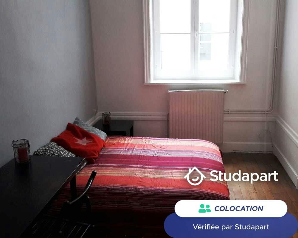 Private room for rent on Quai Romain Rolland, Lyon - Vue 3