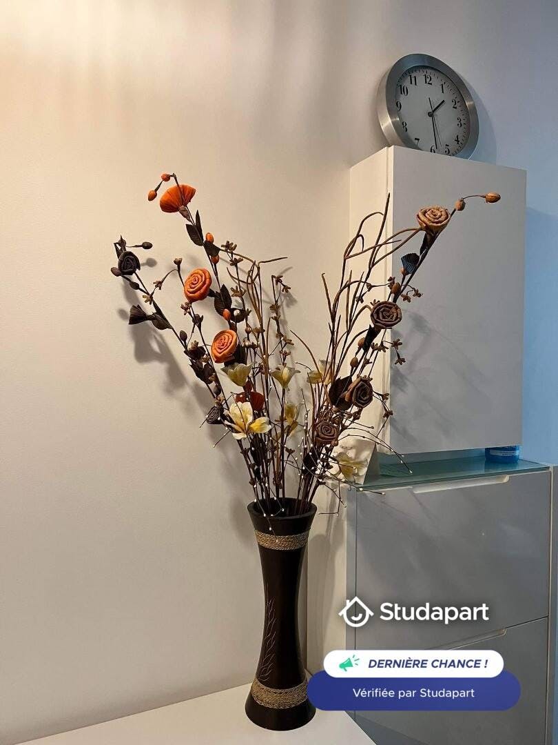 Appartement – Paris, Quartier Saint-Victor - Vue 4