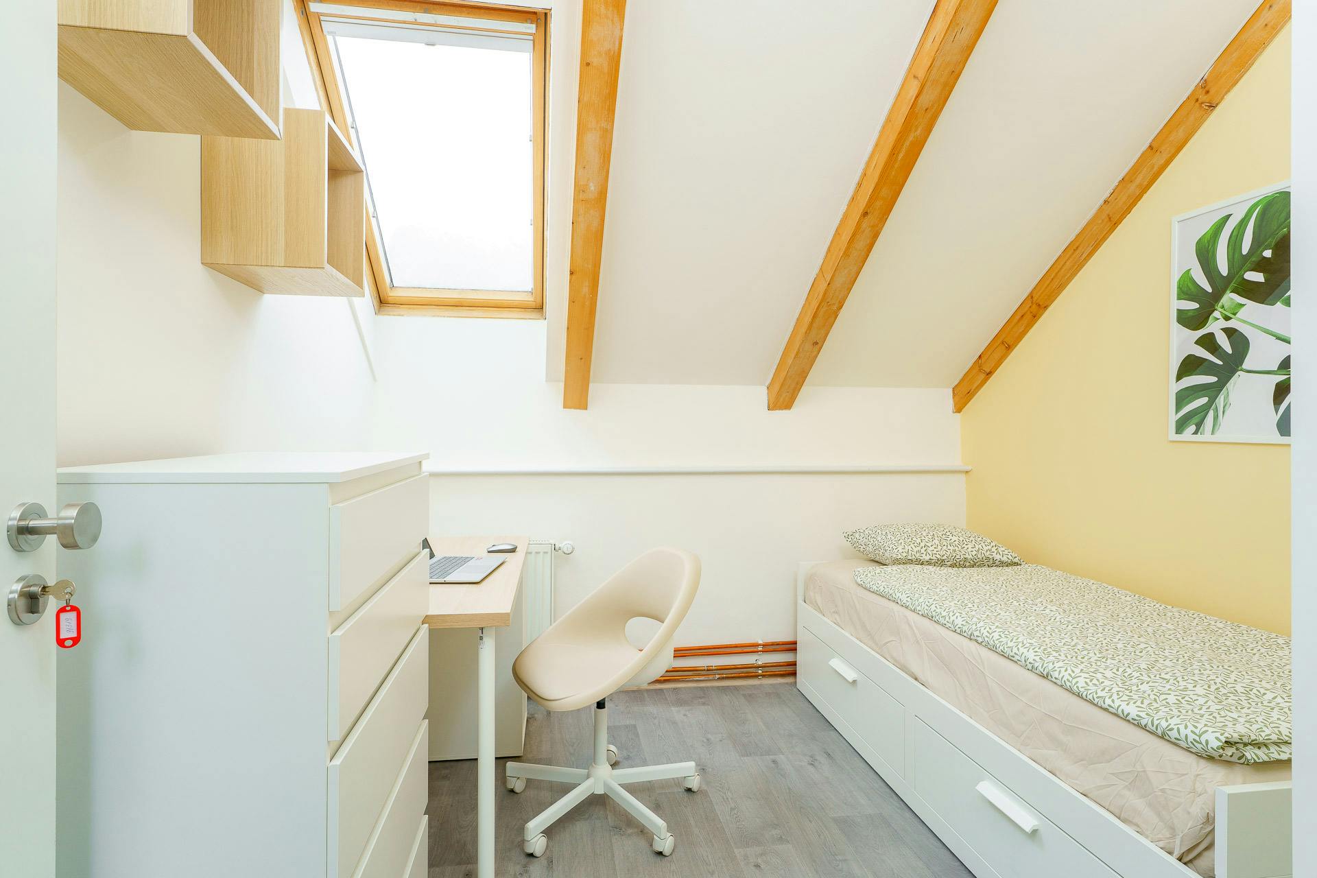 Stanza privata in affitto a 15.499 CZK al mese a Hlavní město Praha, Kolčavka
