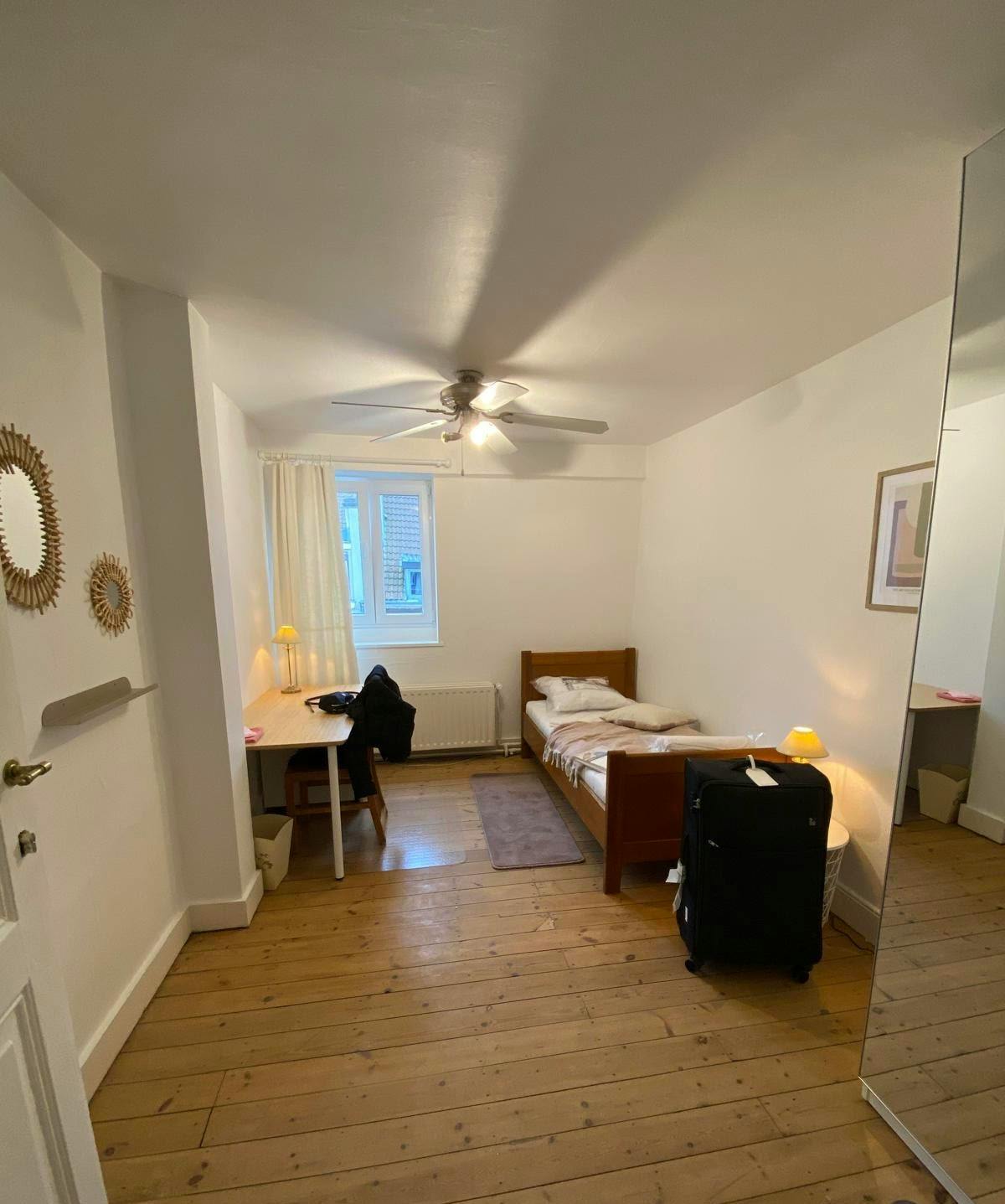 Rue de l'Abdication, Brussels preview