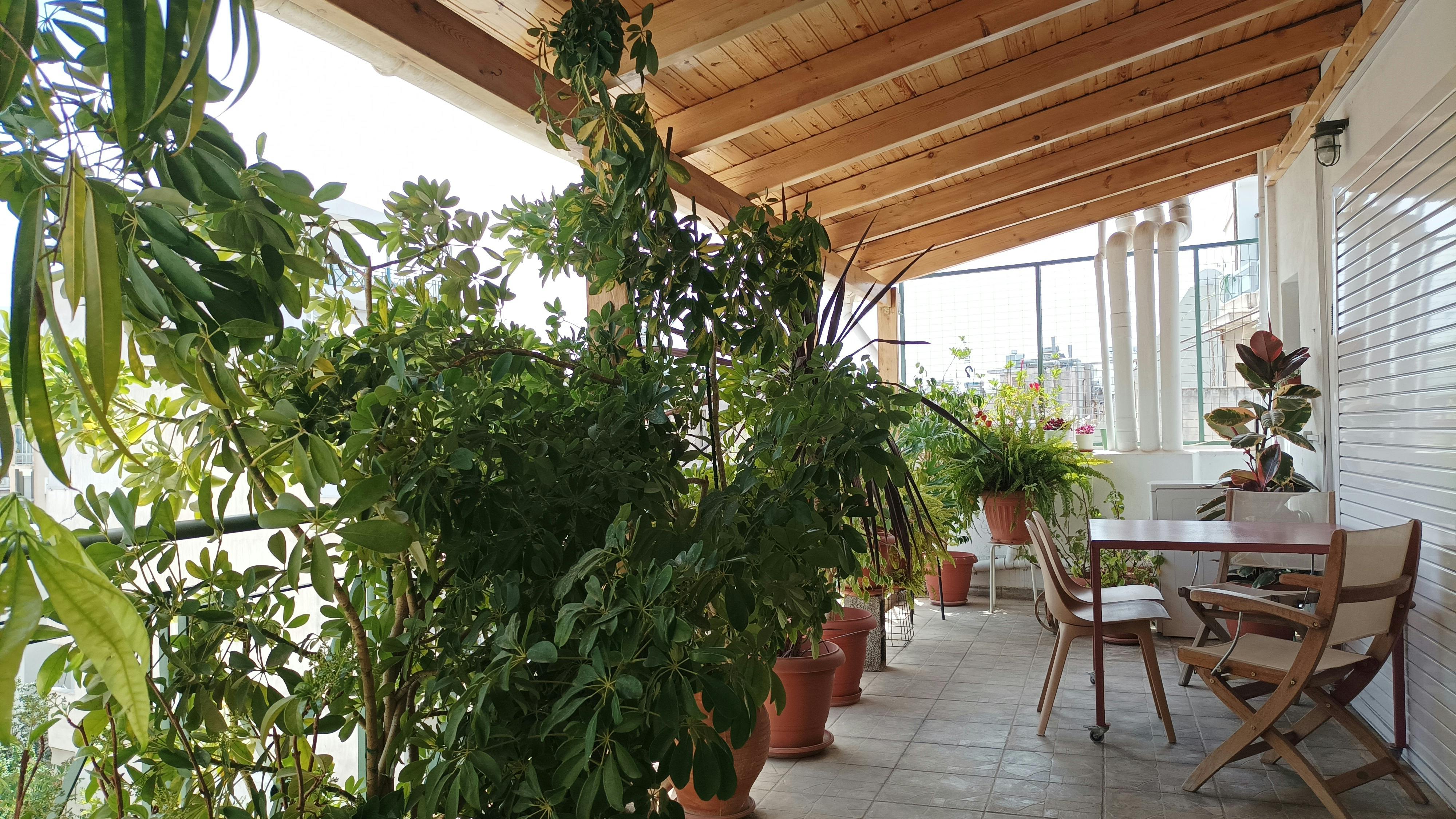 Porinou, Athina preview