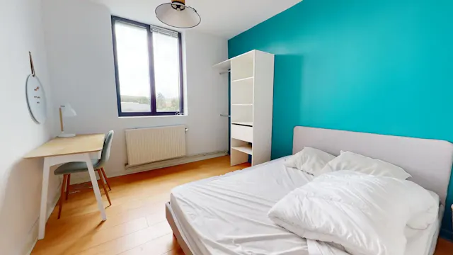Private room in Rue de Mulhouse, Lille (1688440) room image 1