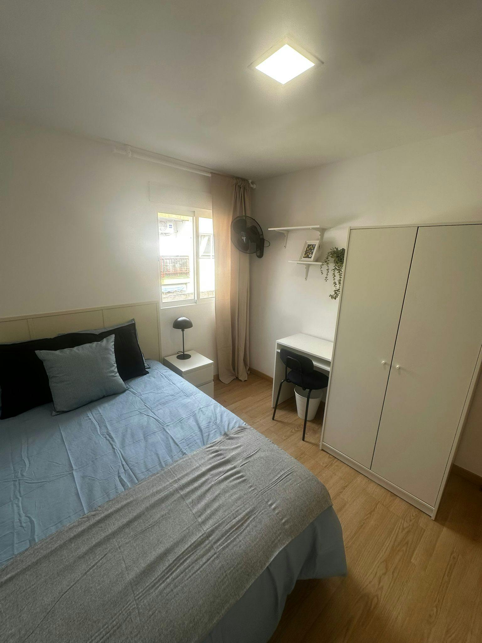 Calle Pascual de la Mata, Alicante (Alacant) preview