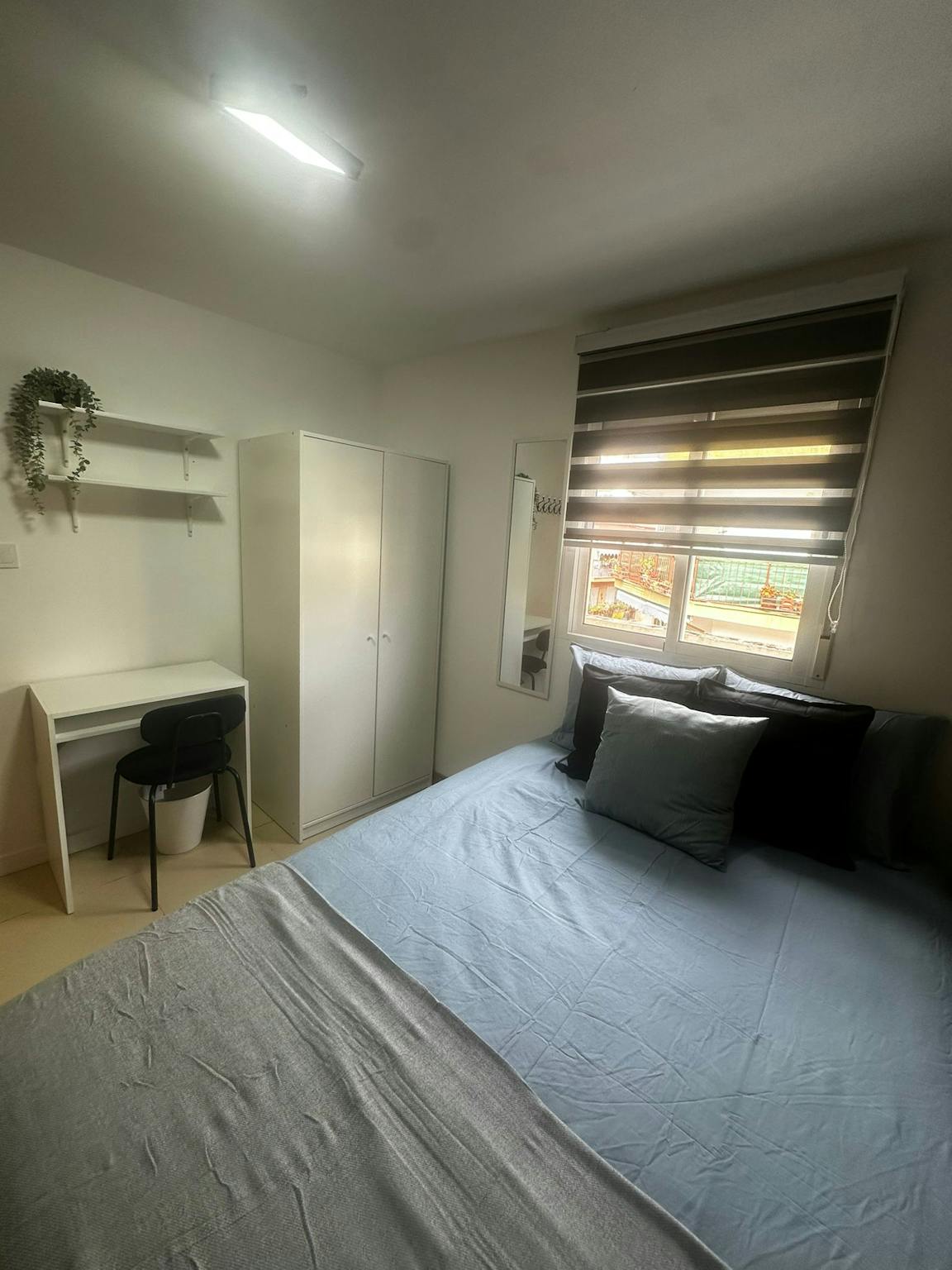 Calle Pascual de la Mata, Alicante (Alacant) preview