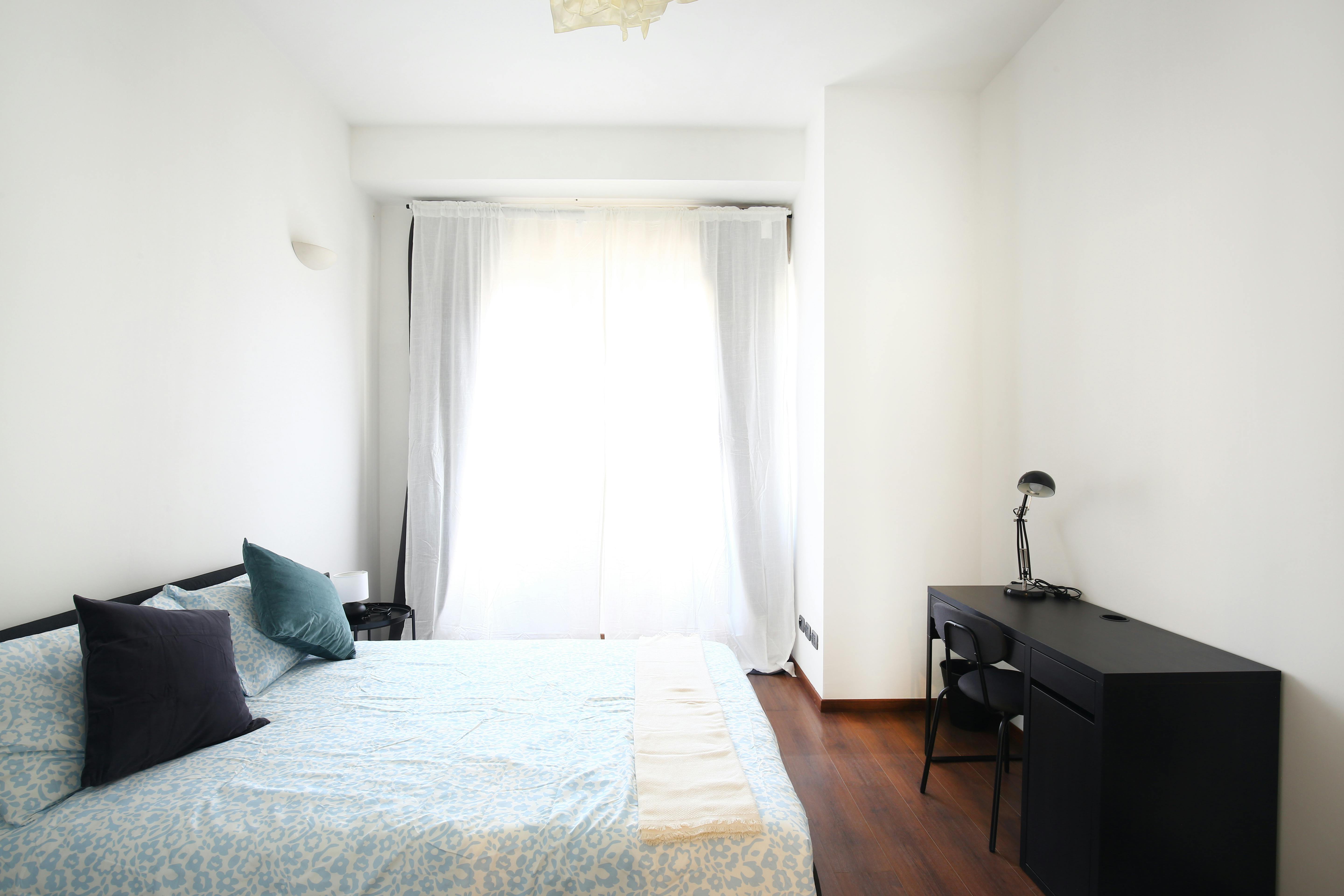 Viale Vittorio Veneto, Milan preview