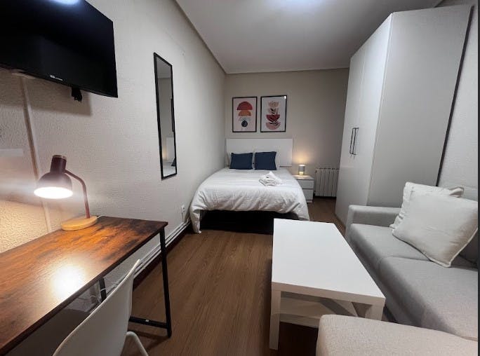 Single room Bilbao, 1 bed, 14m² — photo 1