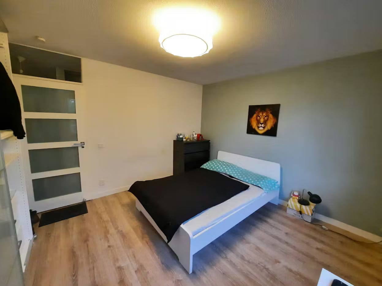 Shared room for rent for €600 per month in Rotterdam, Den Uylsingel