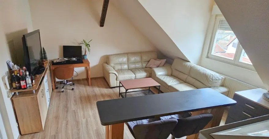 2-Bedroom Apartment in Obere Riedstraße, Mannheim (1690035) ROOM 1