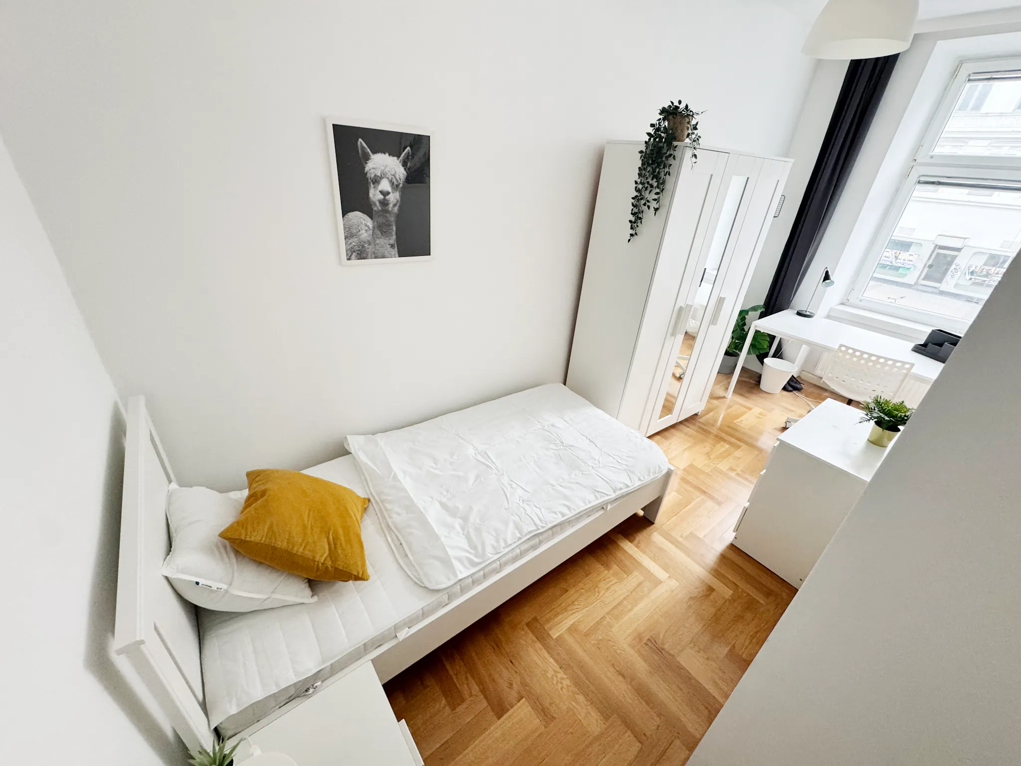 Private room in Favoritenstraße, Vienna (1690267) ROOM 1