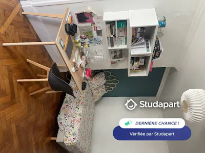 Private room for rent on Rue Basse Combalot, Lyon, Lyon