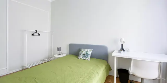 Private room in Avenida António Augusto de Aguiar, Lisbon (1690616) room image 2