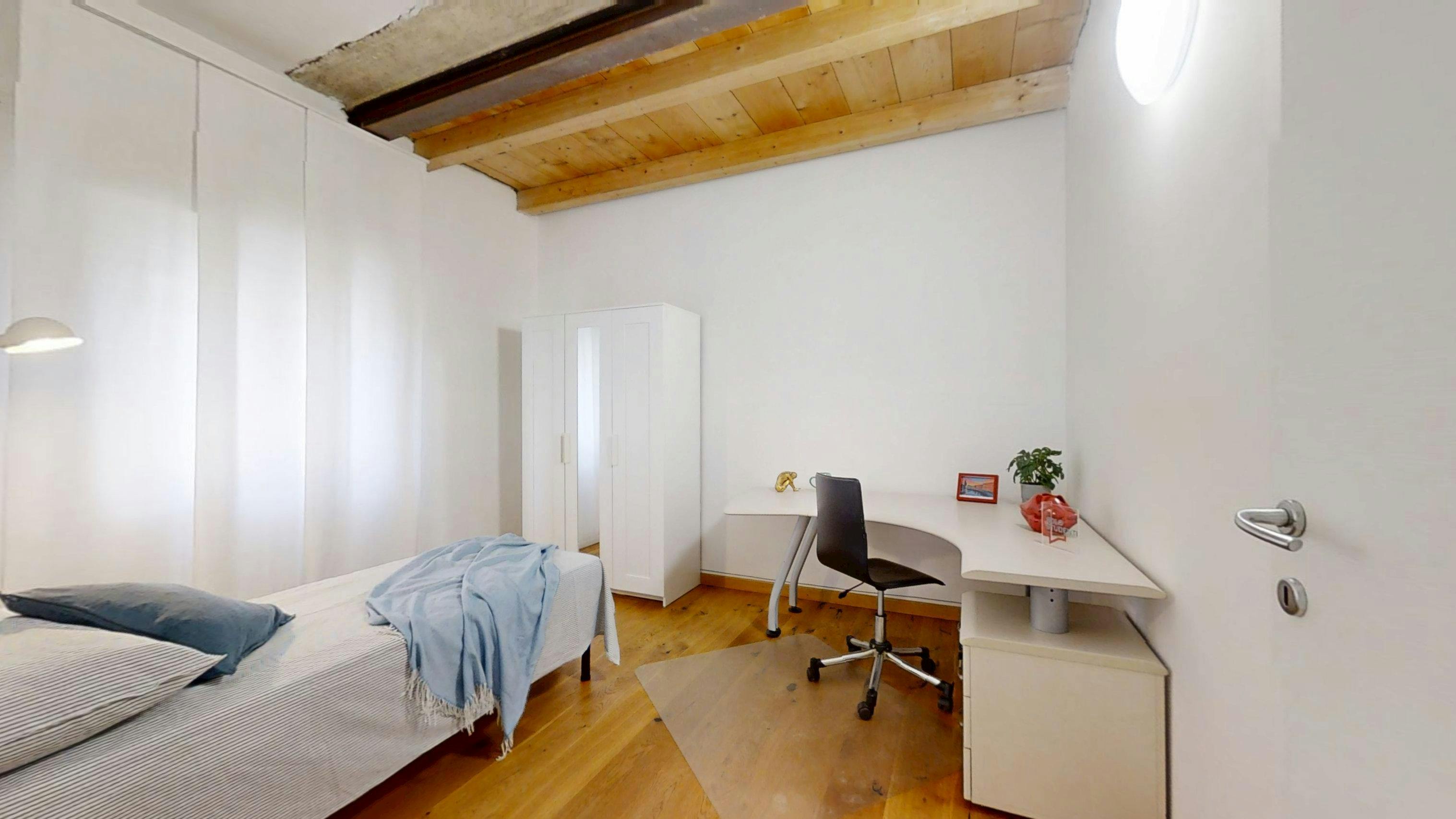 Via Francesco Segala, Padova preview