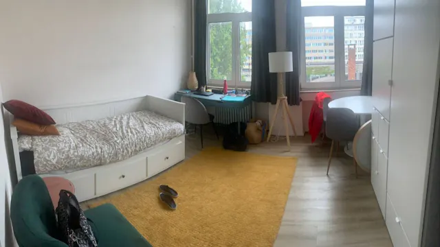Private room in Avenue de la Couronne, Ixelles (1691279) room image 1
