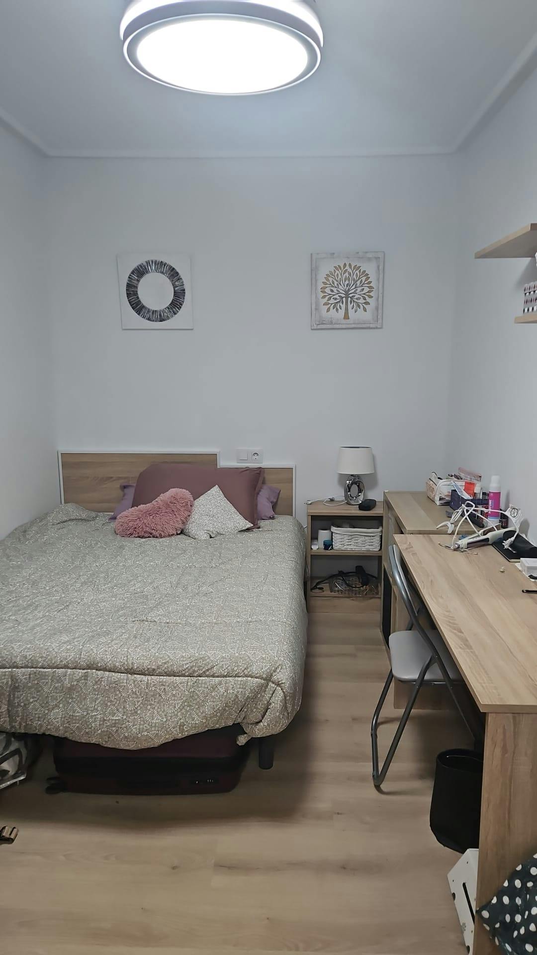 Calle Gregorio García Arista, Zaragoza preview