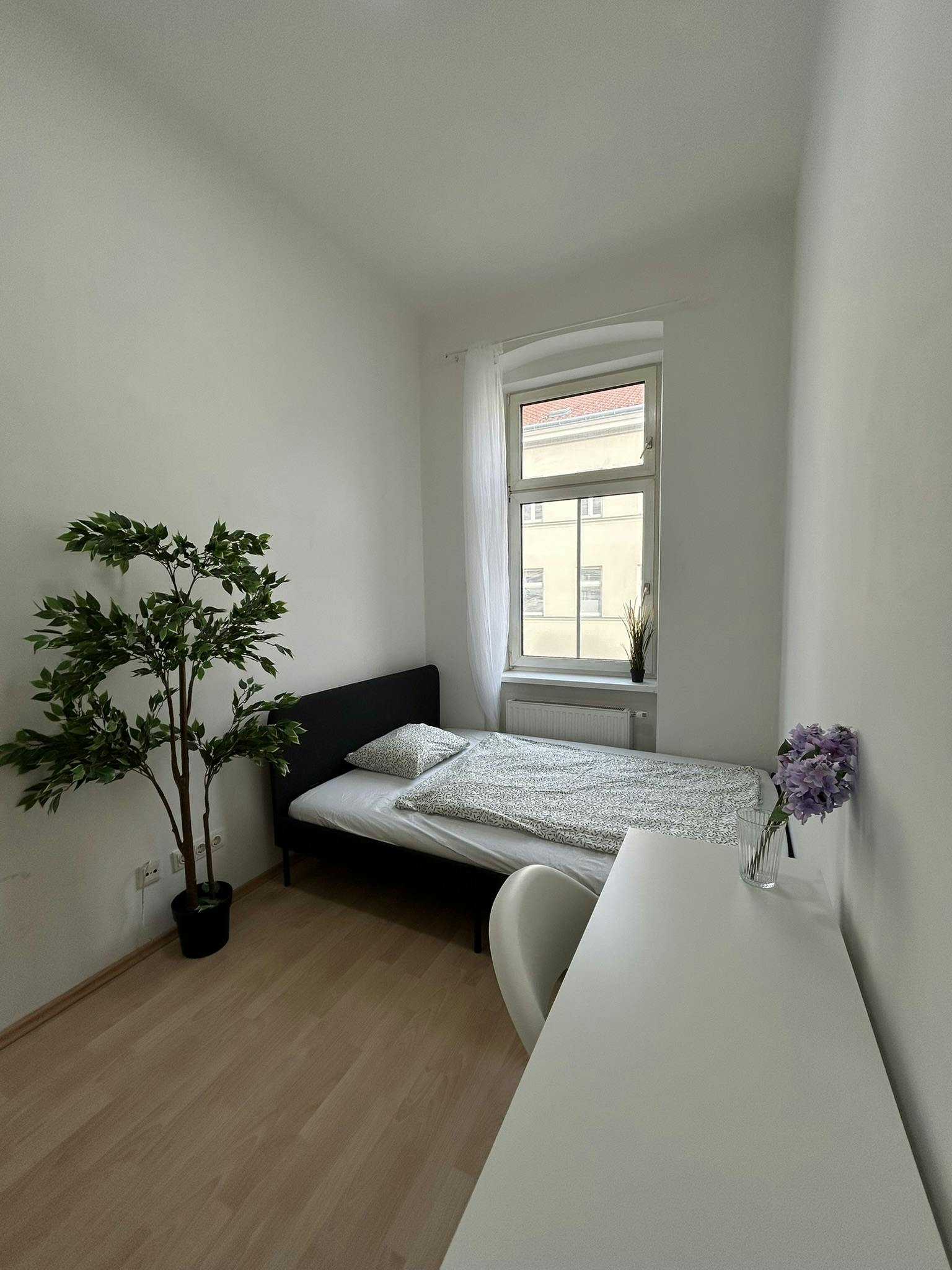 Waldgasse, Vienna preview