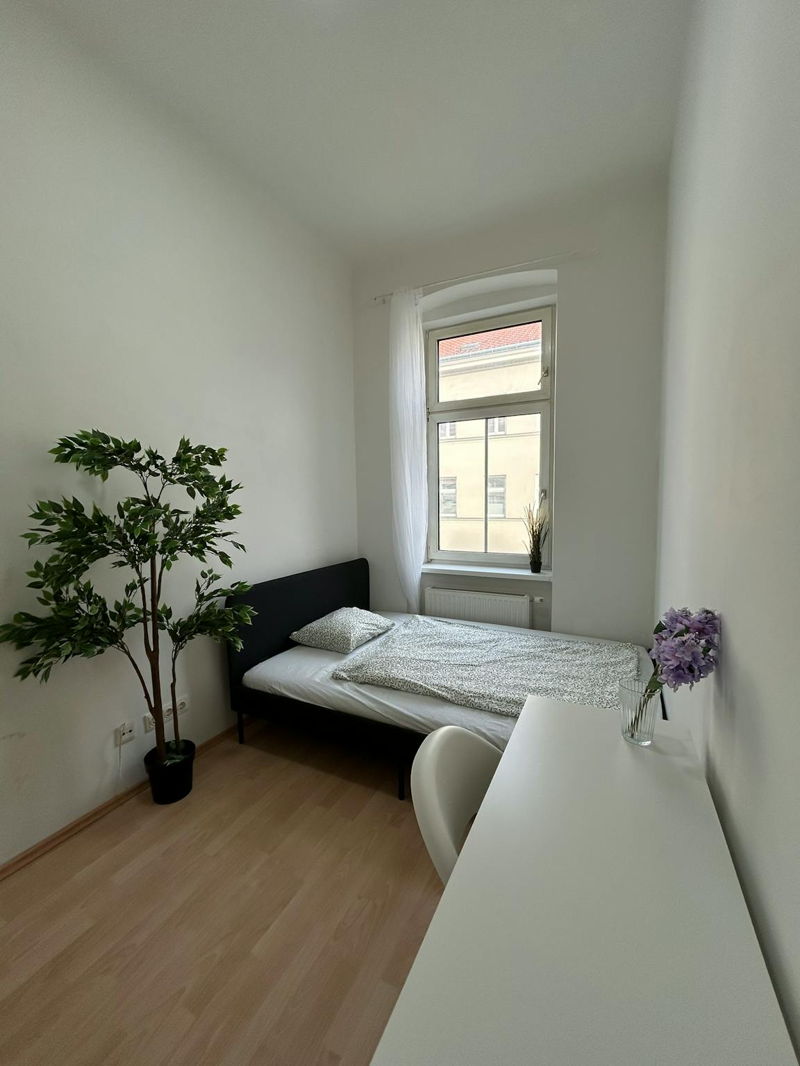 Waldgasse, Vienna preview