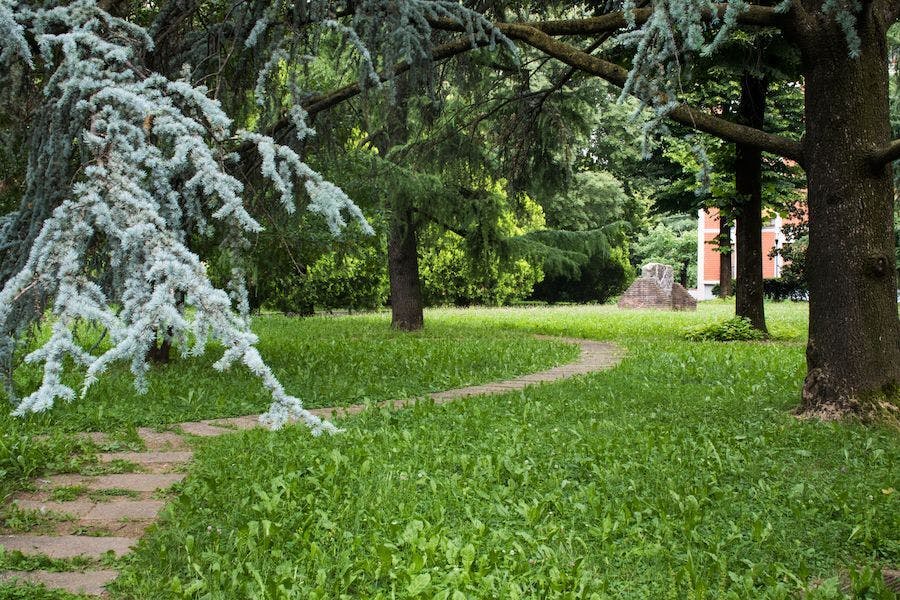 Image #9