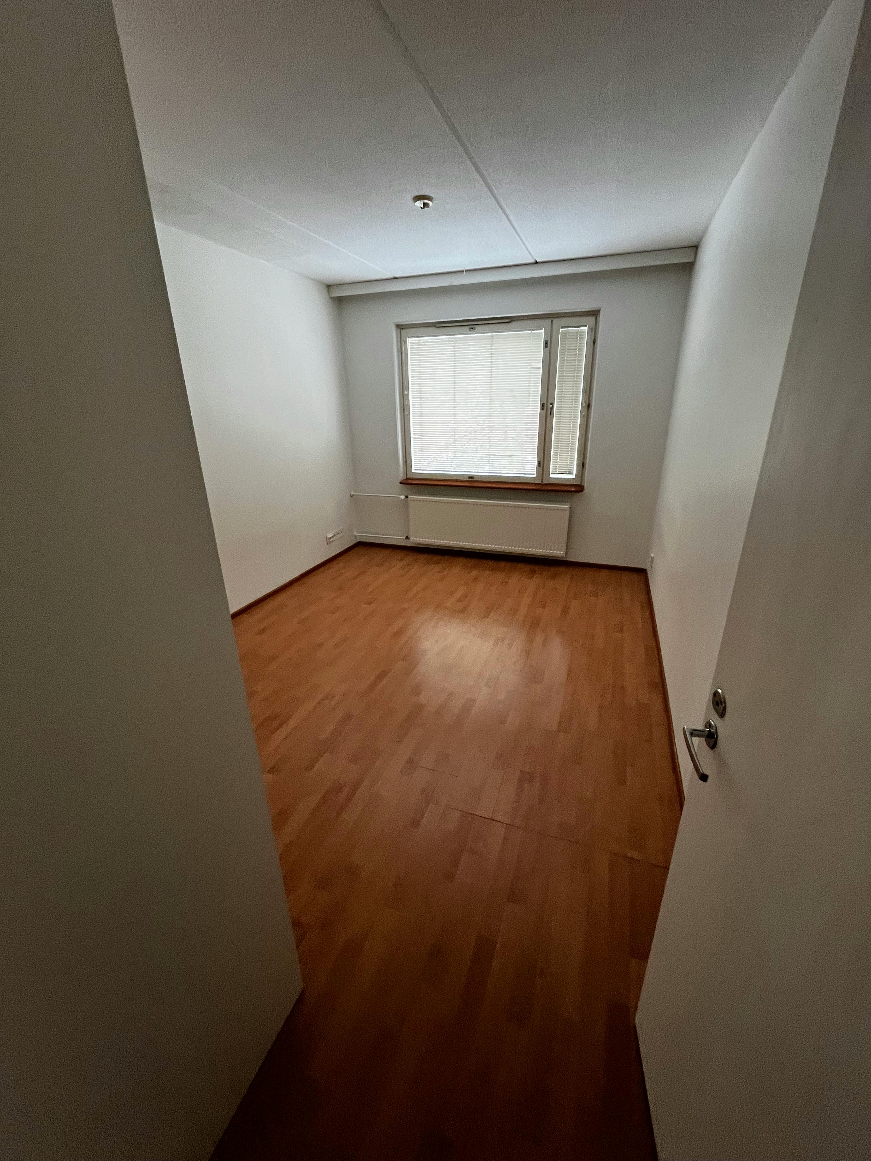 Havukuja, Helsinki preview