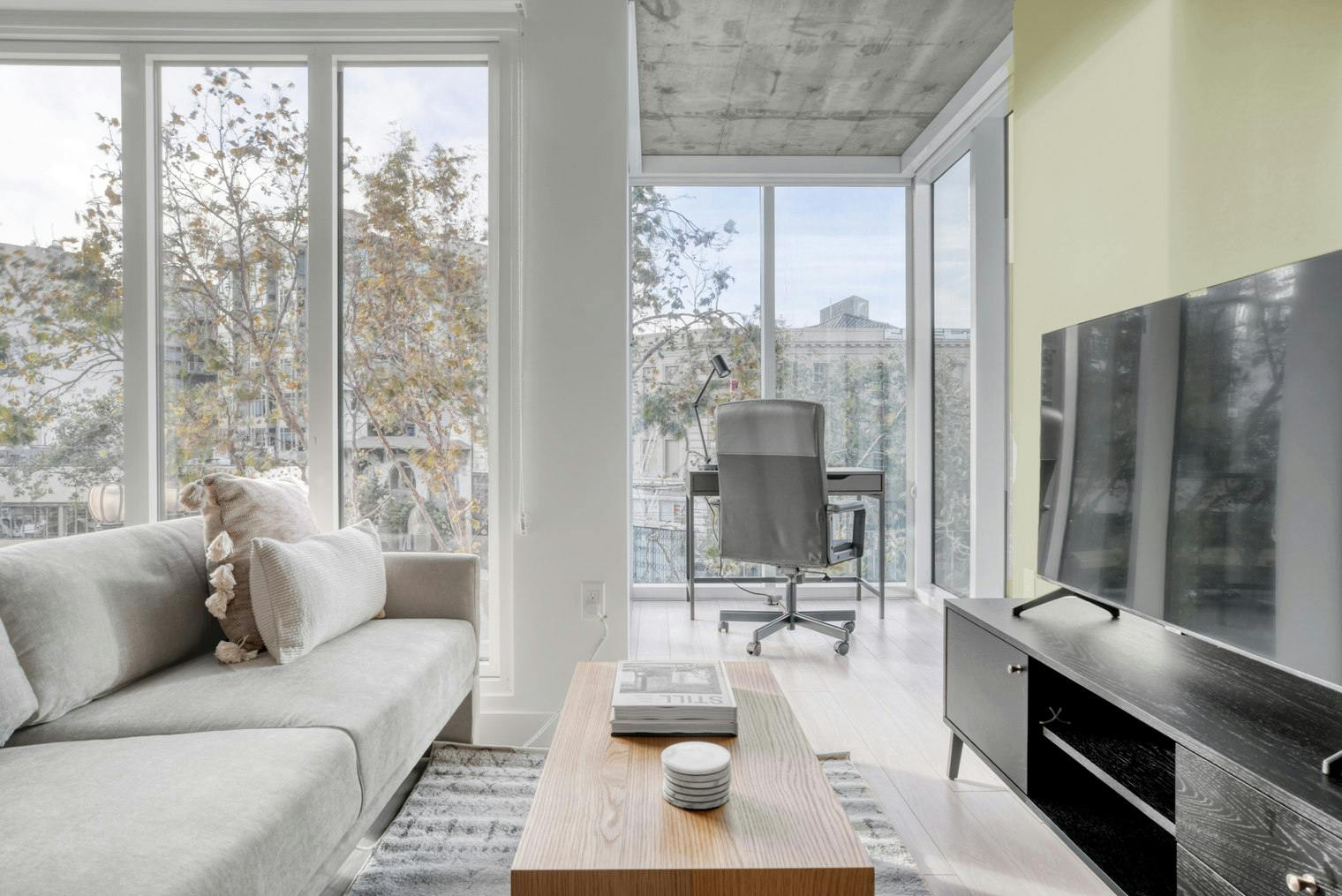 Etta att hyra för $4,647 i månaden i San Francisco, Brady Street