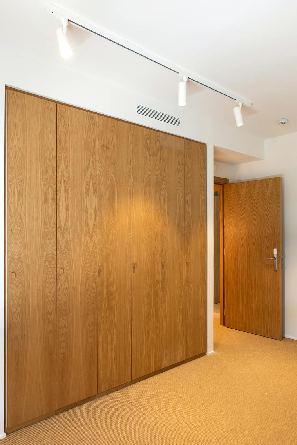 Camí de Vallvidrera al Tibidabo, Barcelona preview