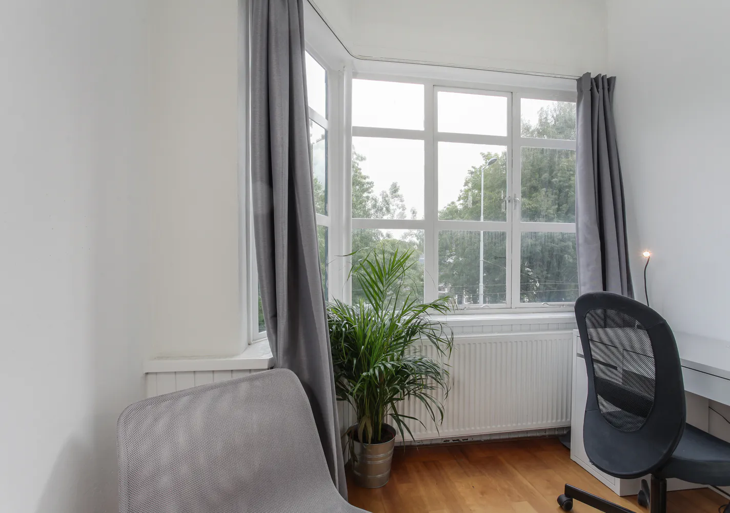 Shared room in Honingerdijk, Rotterdam (1693125) ROOM 4