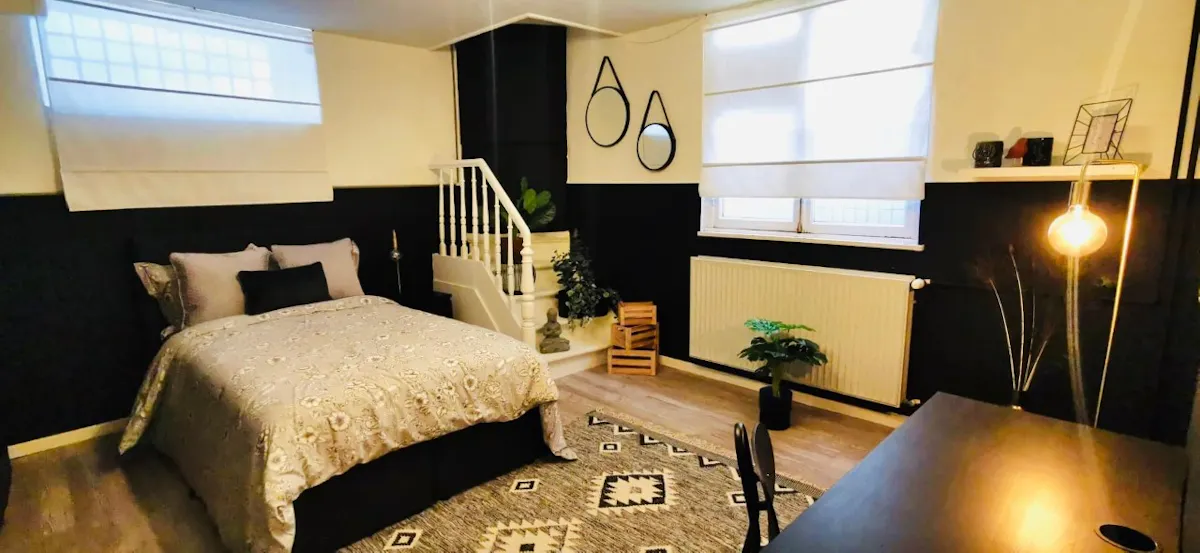 Private room in Avenue de la Jonction, Saint-Gilles (1693230) ROOM