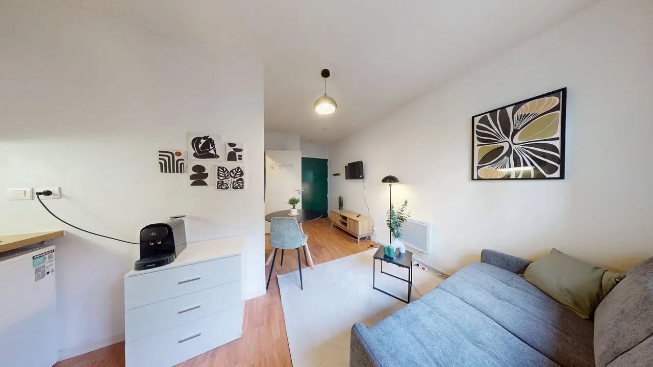 1-Bedroom Apartment in Rue Jules Brunard, Lyon (1693470) ROOM 4