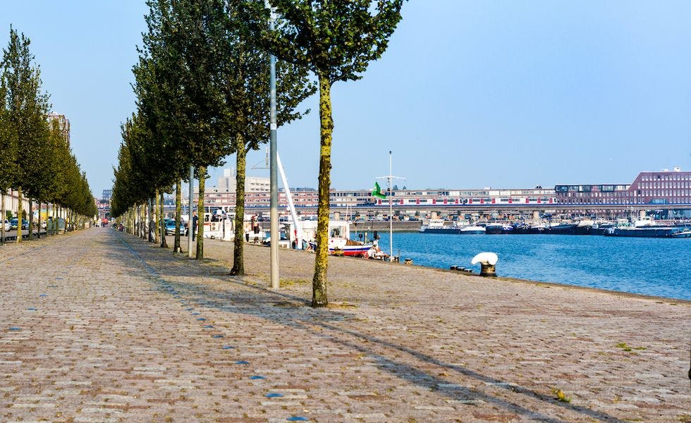 preview gallery tile