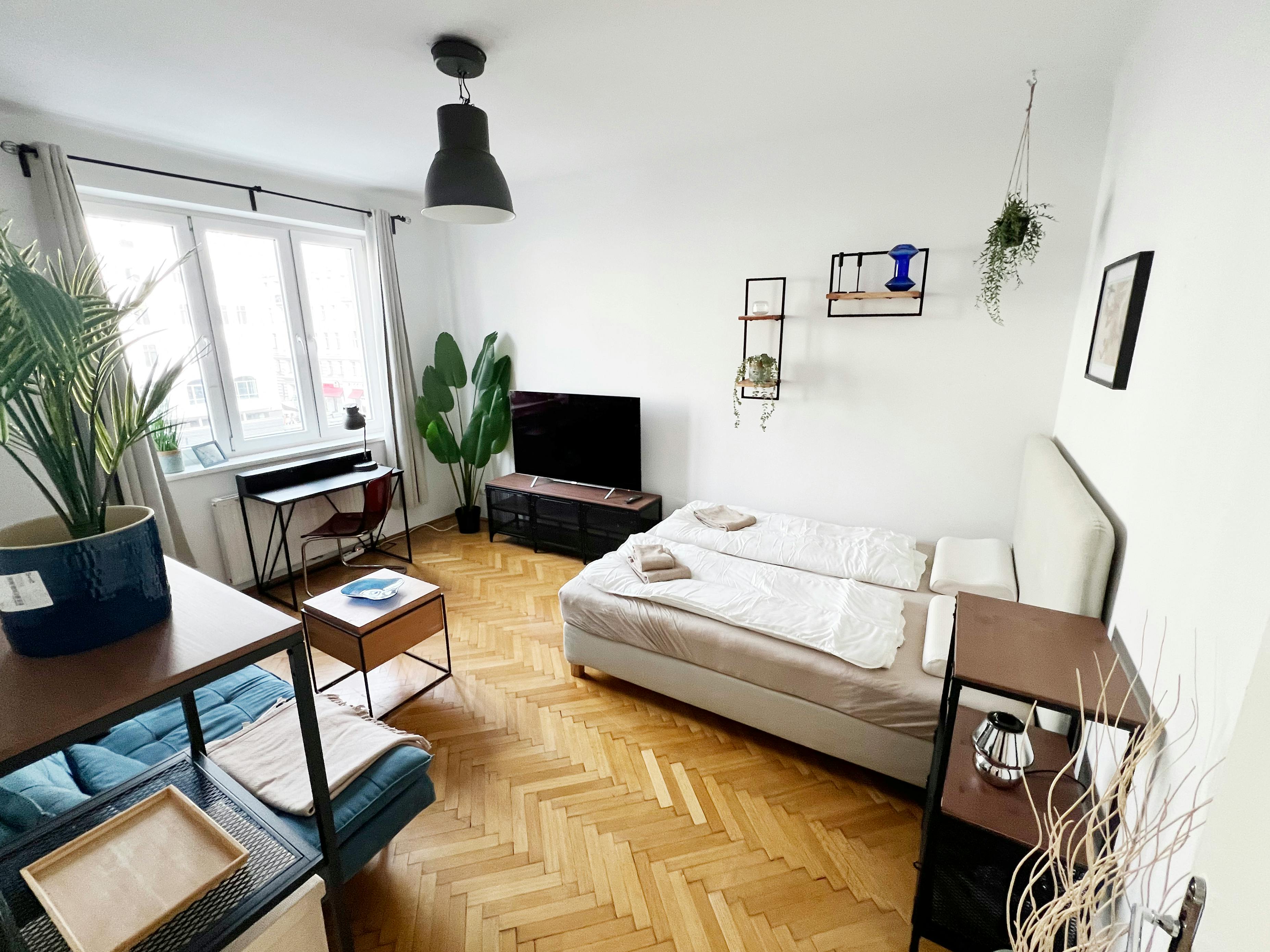 Rechte Wienzeile, Vienna preview