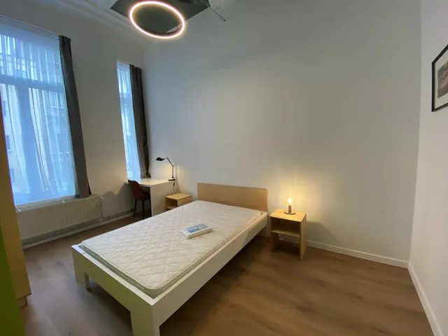 Private room in Avenue de la Couronne, Ixelles (1694154) room image 1
