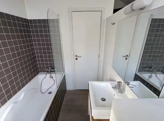 1-Bedroom Building in Rue de la Victoire, Saint-Gilles (1694385) room image 60