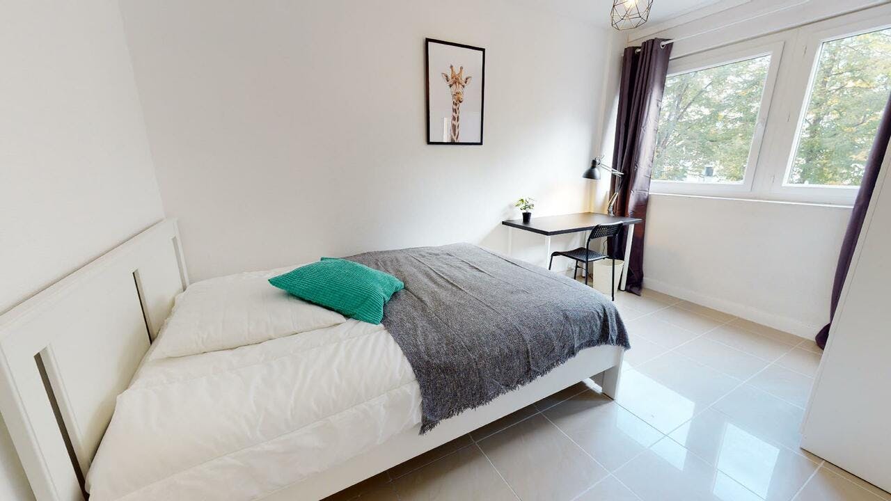 Rue Camille Koechlin, Villeurbanne preview