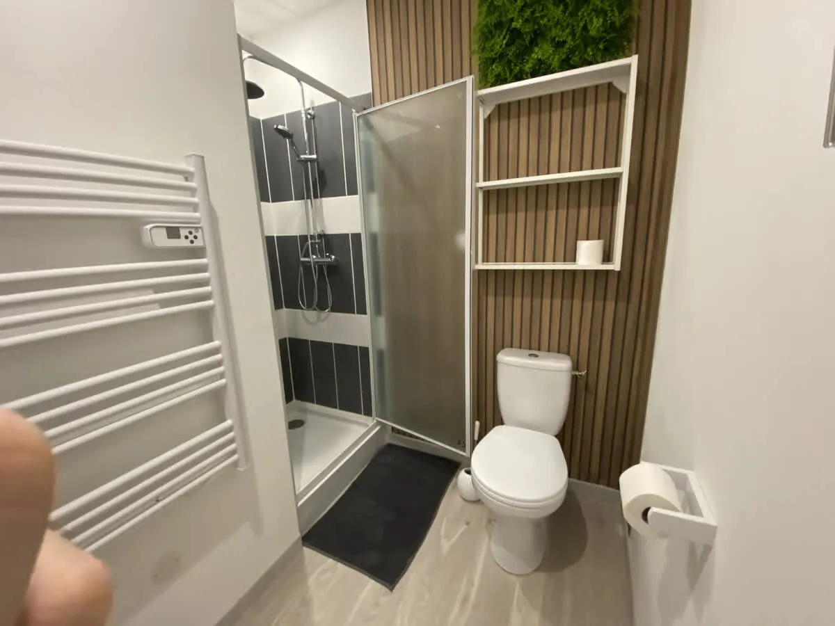 1-Bedroom Apartment in Rue Henri Desbals, Toulouse (1694588) ROOM 3
