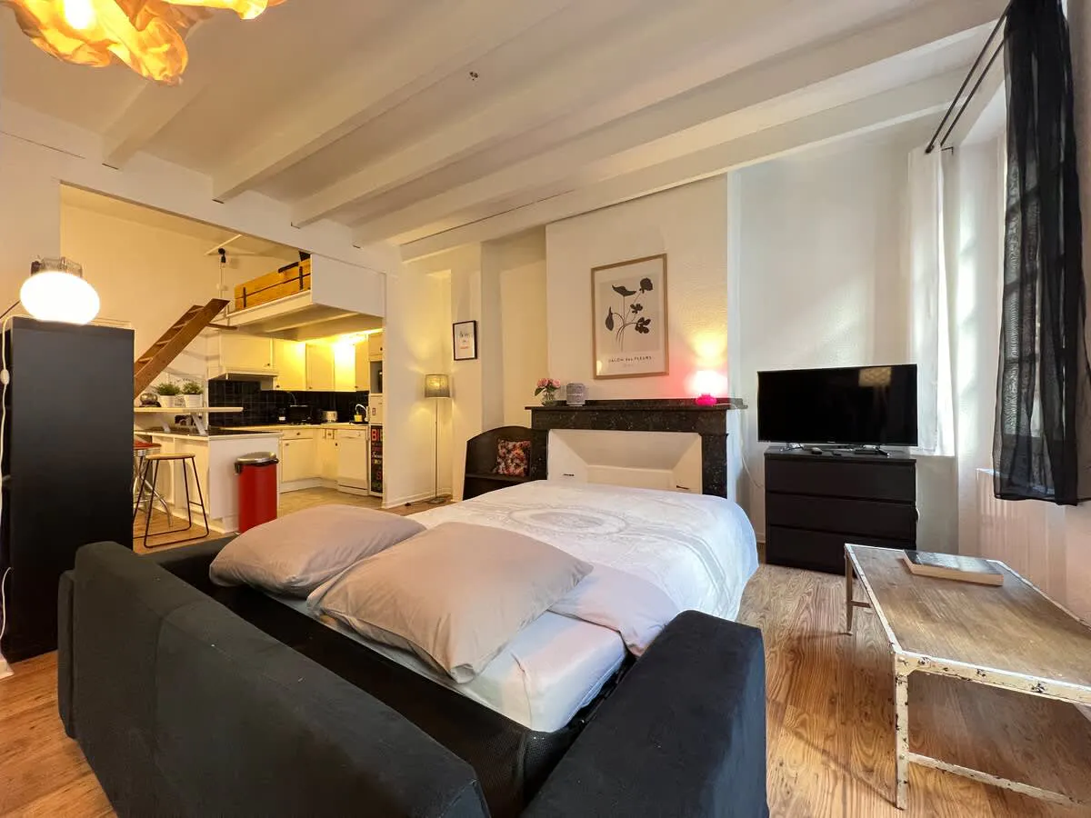 1-Bedroom Apartment in Rue Espinasse, Toulouse (1694612) ROOM